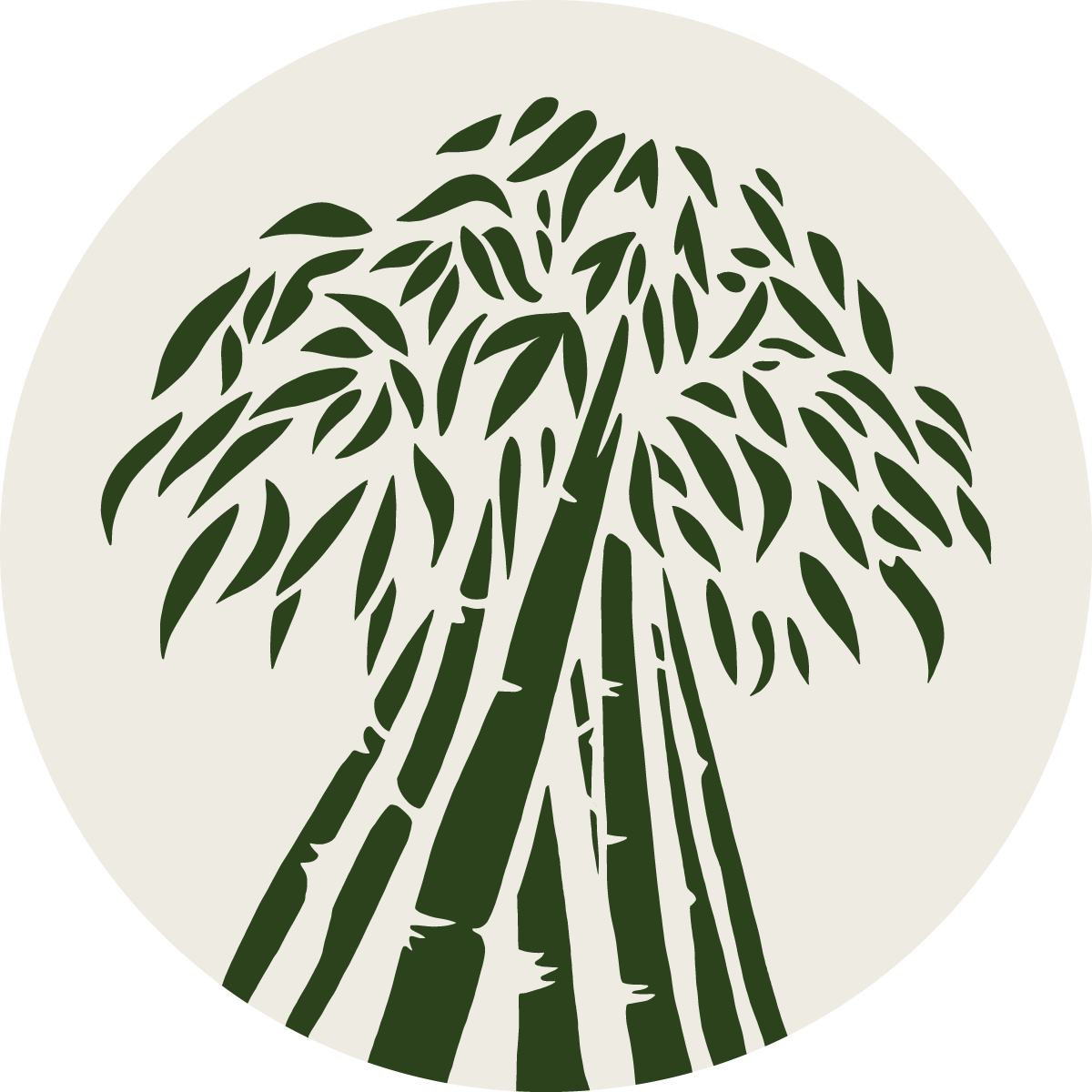 Logo YBLL